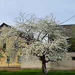 Apartament Im Sanierten Denkmal Max 4 Personen *