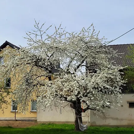 شقة Im Sanierten Denkmal Max 4 Personen *