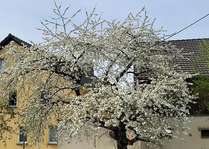 شقة Im Sanierten Denkmal Max 4 Personen *